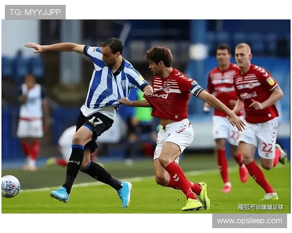 巴恩斯利足球俱乐部发展历程与未来愿景探讨