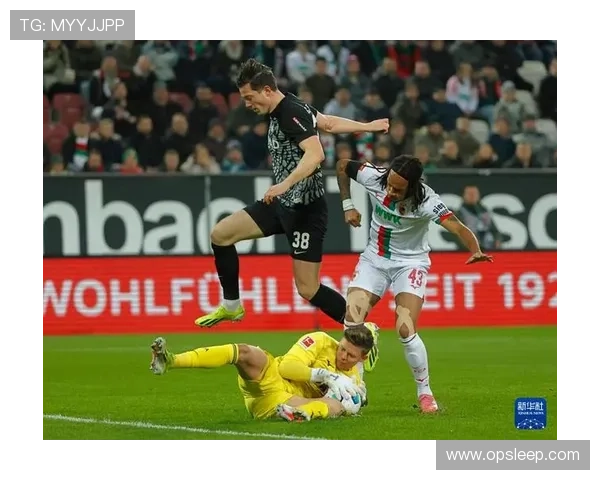 奥格斯堡俱乐部历史与成就解析 深度剖析德甲劲旅的崛起与挑战