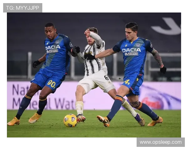 乌迪内斯足球俱乐部发展历程与球队文化解析 乌迪内斯足球俱乐部发展历程与球队文化解析