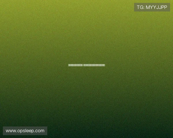 快船队季前赛表现亮眼 乔治莱昂纳德领衔期待新赛季突破