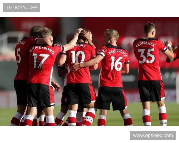 百年传承与英超征途南安普顿足球俱乐部崛起之路青训荣耀与城市精神