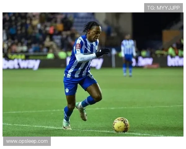 维冈竞技俱乐部的辉煌历程与挑战如何塑造其足球文化和未来发展 维冈竞技俱乐部的辉煌历程与挑战如何塑造其足球文化和未来发展