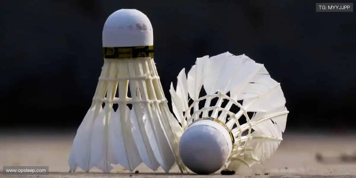 🎮虚拟观赛，科技重构体育新玩法！